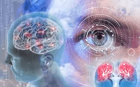 Diabetic Retinopathy Detection — Deep Learning Diagnostic System